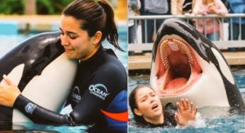 How an AI-Generated Clip Fooled Millions Into Believing an Orca Killed a Trainer?