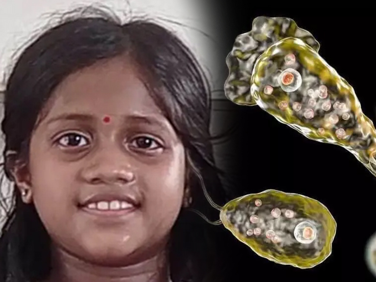 Brain-Eating Amoeba Kills 9-Year-Old in Kerala, Fourth Case in 2025