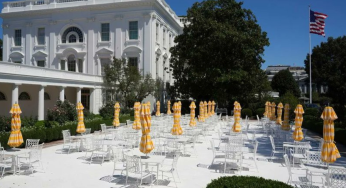 ‘Who Did This?: Donald Trump Slams Contractor Over Rose Garden Work