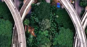 Bengaluru Metro’s Yellow-Green ‘Perfect Shot’ Amazes Internet | WATCH