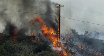 Canada’s Wildfire Threat Shifts East: Could Your Town Be The Next To Burn?