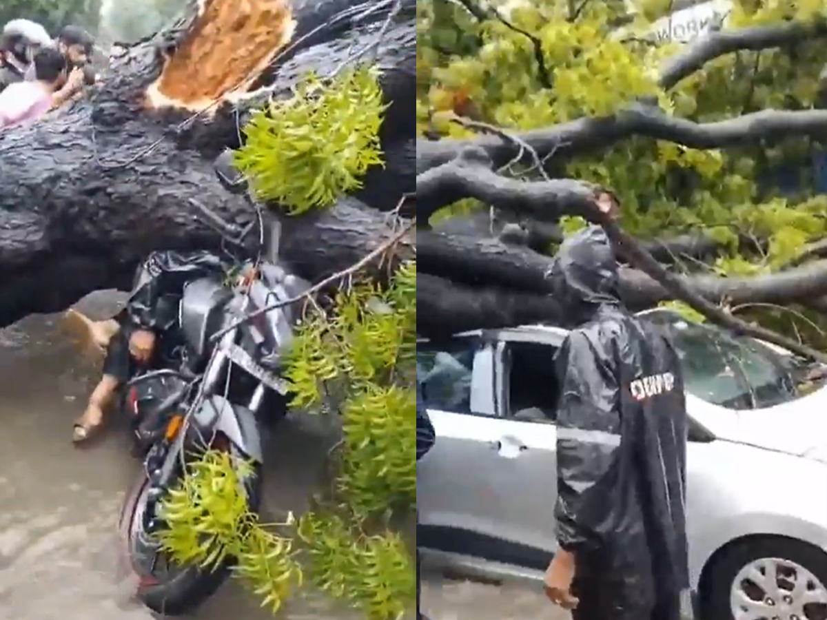 BMW Stuck in Knee-Deep Water as Delhi Battles Relentless Rain; Tree Collapse Kills One in Kalkaji