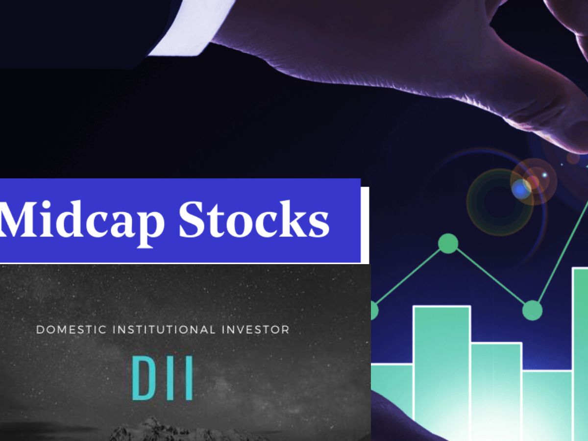 DIIs Increased Their Stakes in These Mid-Caps- Check the List Here