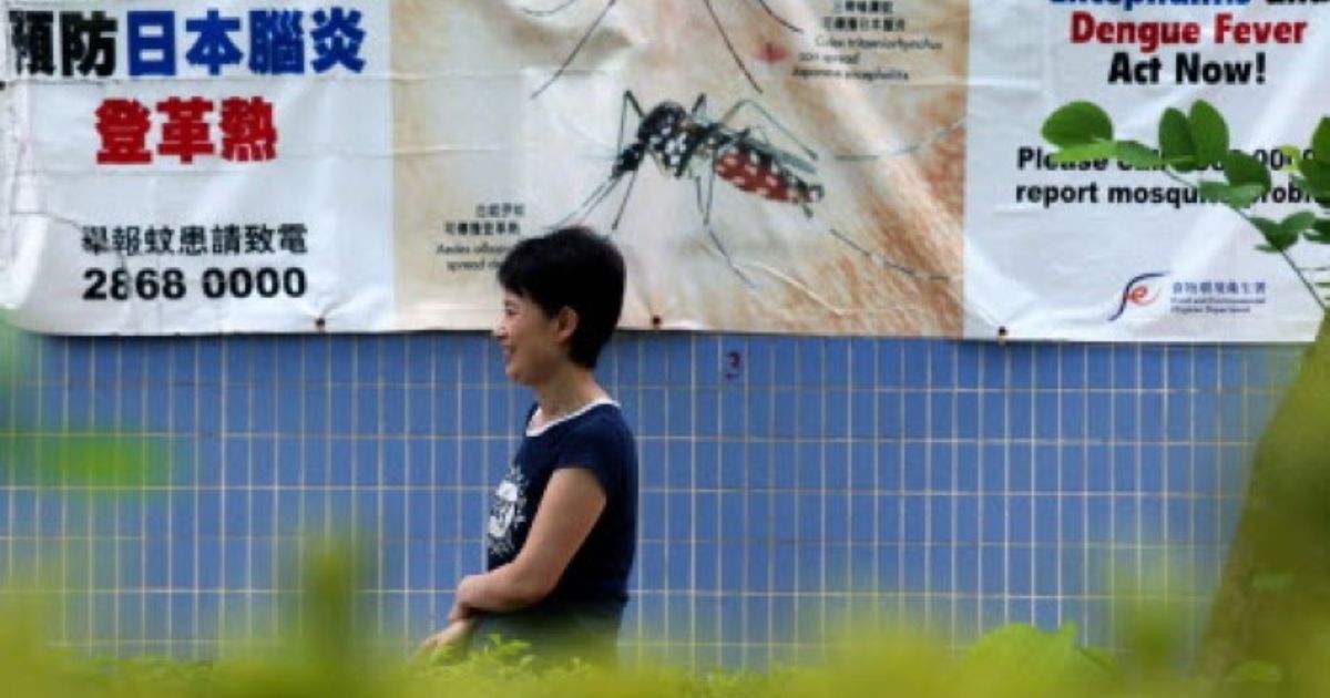 Rare Virus Resurfaces: Hong Kong Confirms First Japanese Encephalitis Case In Six Years