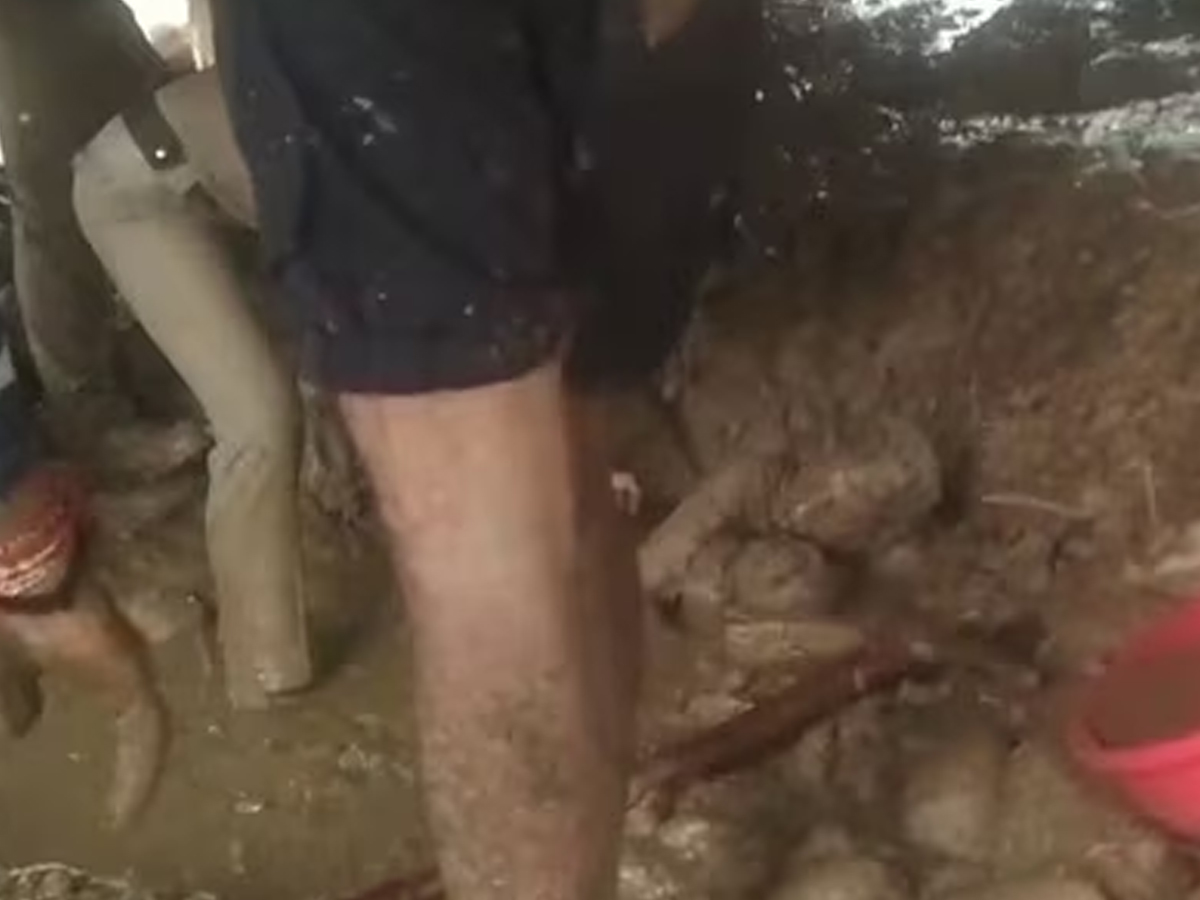 Shocking Videos Show Kathua Rescue Operations After Cloudburst, Landslides Kill 7 | Watch