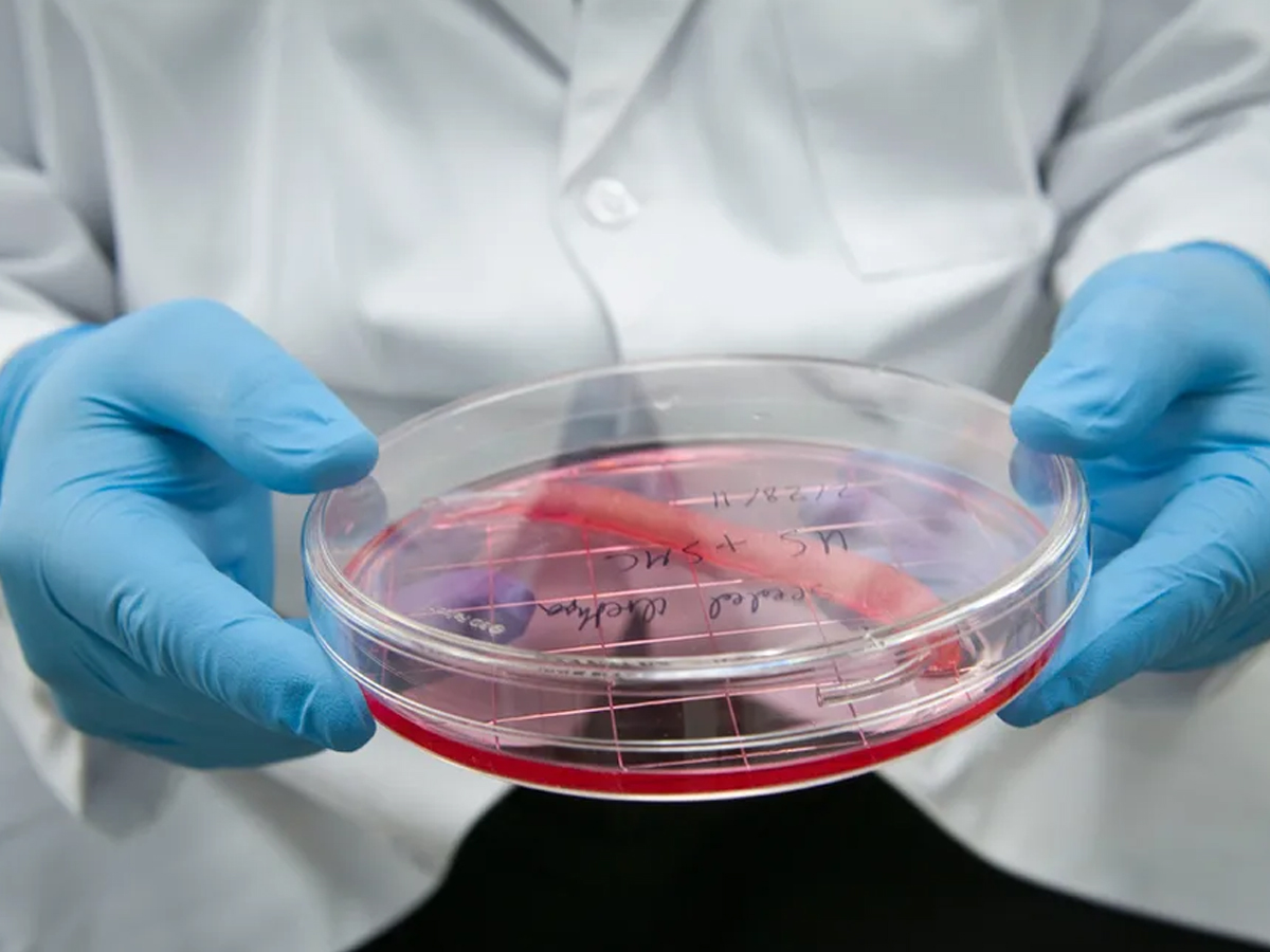 Baba Vanga 2025 Predictions: Earthquakes, Wars & Alien Encounters That Came True - Gallery Image