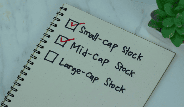 Mid and small caps202403151738358899674