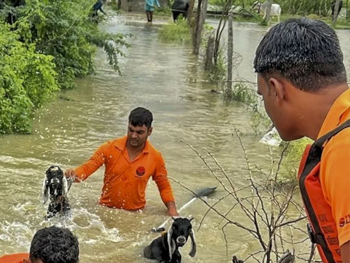 Rajasthan Floods: Two Dead, Hundreds Rescued as Heavy Rains Batter Bundi, Kota