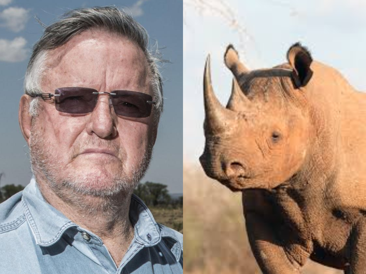 Did South Africa’s Top Conservationist Really Smuggle $14M Rhino Horns? He Says No