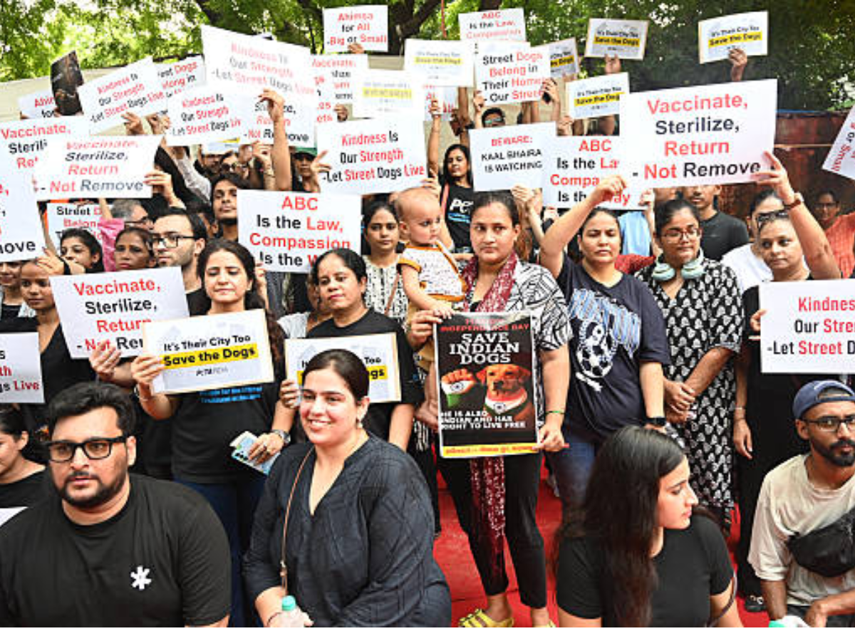 SC Redefines Stray Dog Policy: From Shelters to Sterilisation and Safe Feeding Zones