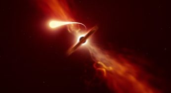 When Stars Fall For Black Holes: The Deadly Dance That Ended In A Cosmic Blast