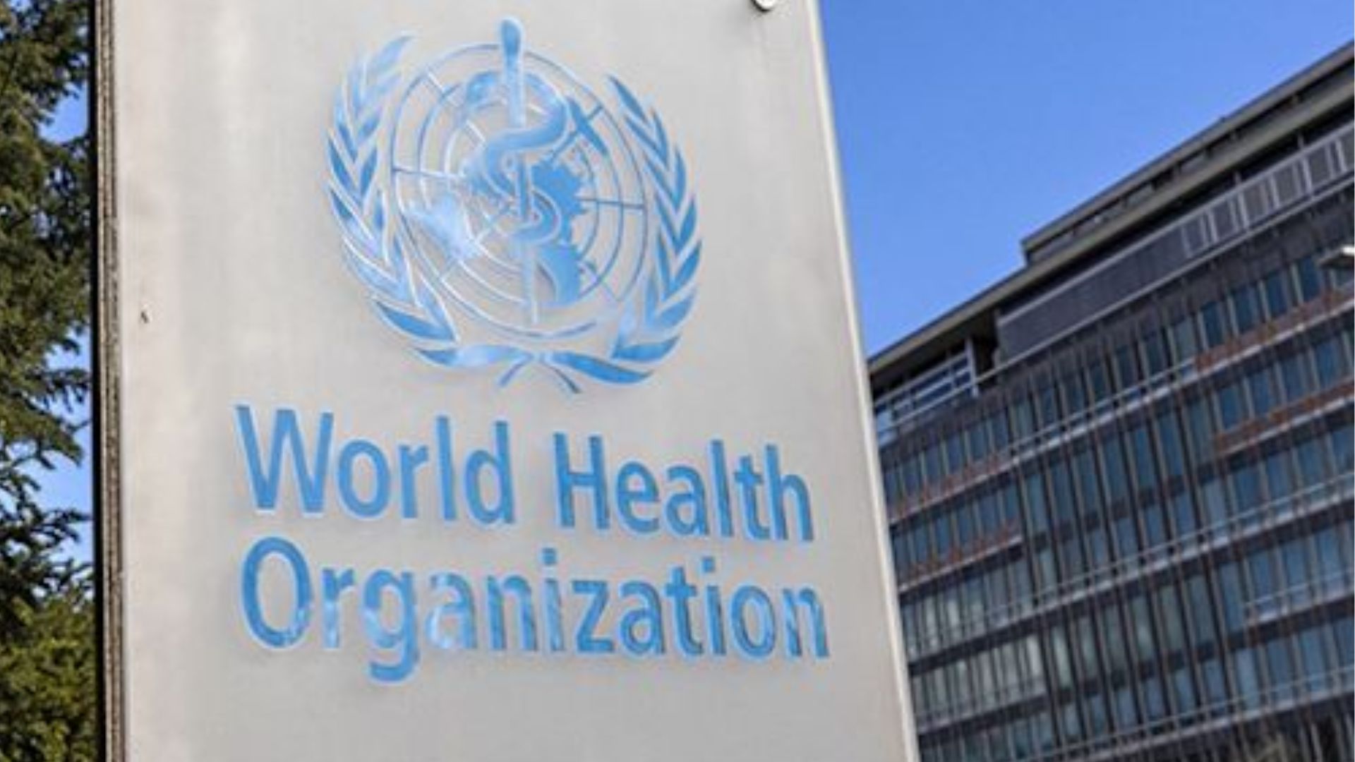 WHO Flags Ongoing Wild Polio Spread, Keeps Pakistan Under Travel Ban