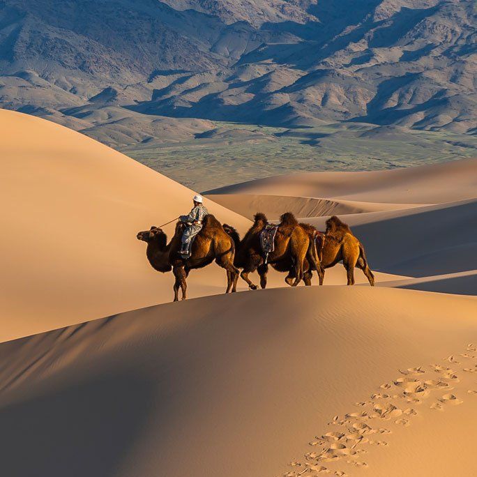 Gobi Desert, Mongolia and China dry cold desert with rugged terrain. - Photo Gallery