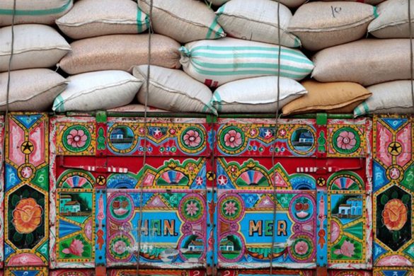 Pakistan: Punjab curbs wheat movement, launches geotagging to avert crisis after floods