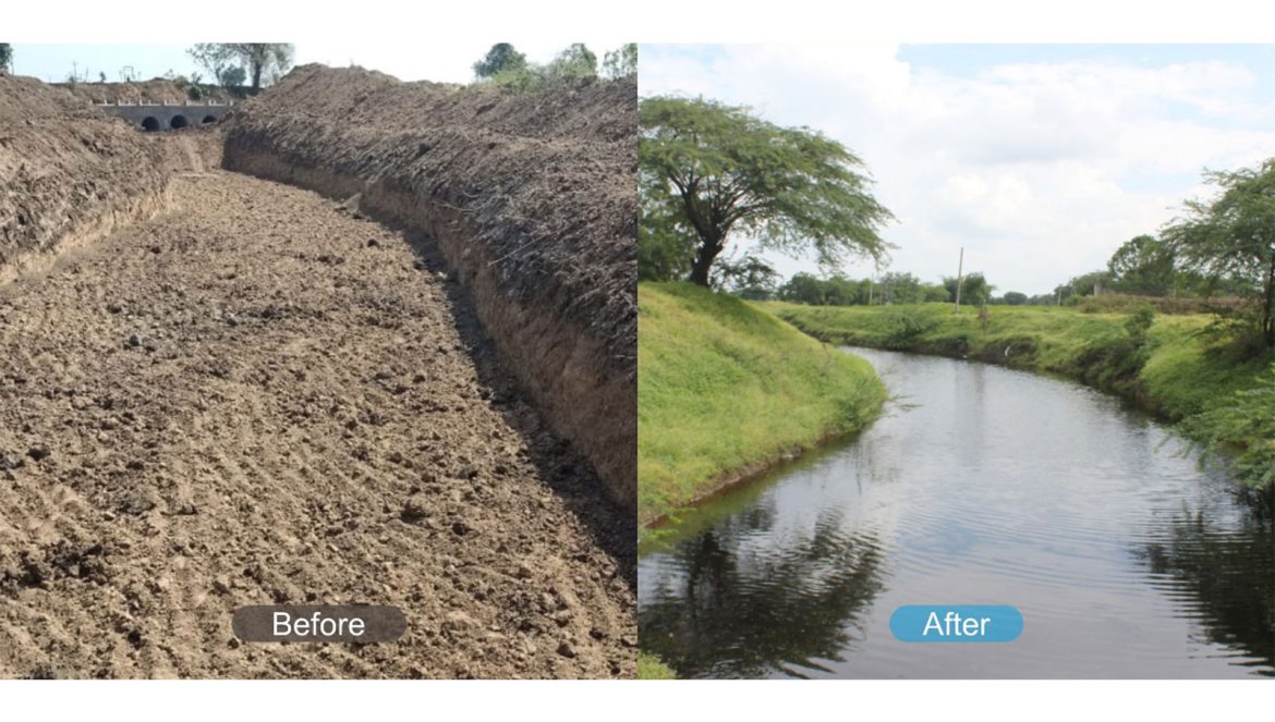 Rivers Rise Again: The Art of Living's Journey of Rejuvenation