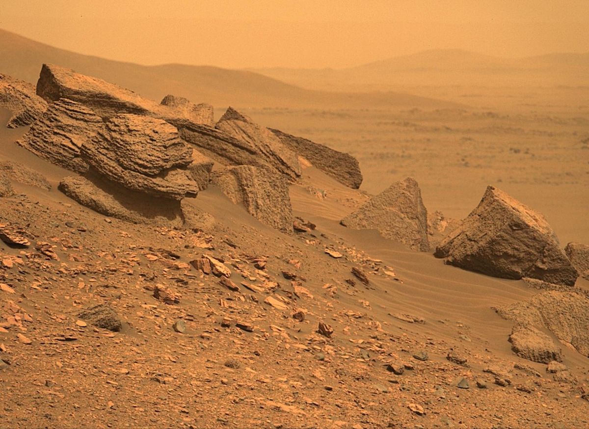 Arabia Terra’s eroded valleys and layered rock formations shaped by ancient water activity. - Photo Gallery