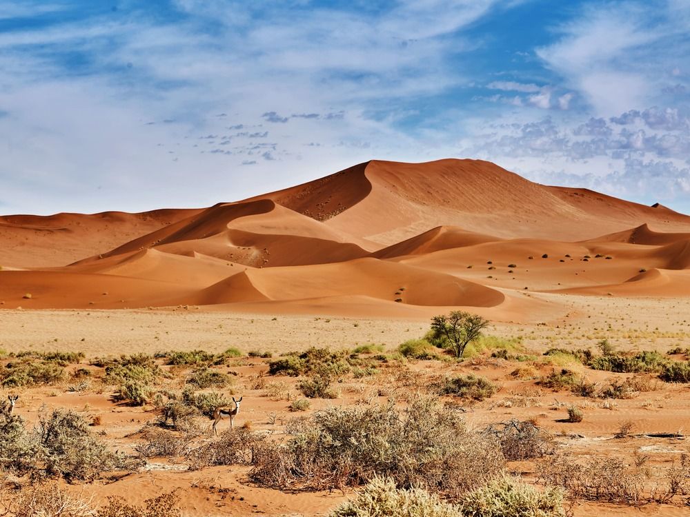 Namib Desert, Namibia red sand dunes in dry desert landscape. - Photo Gallery