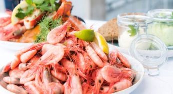 EU approves 102 more Indian marine establishments for exports, boosting seafood trade by 20%