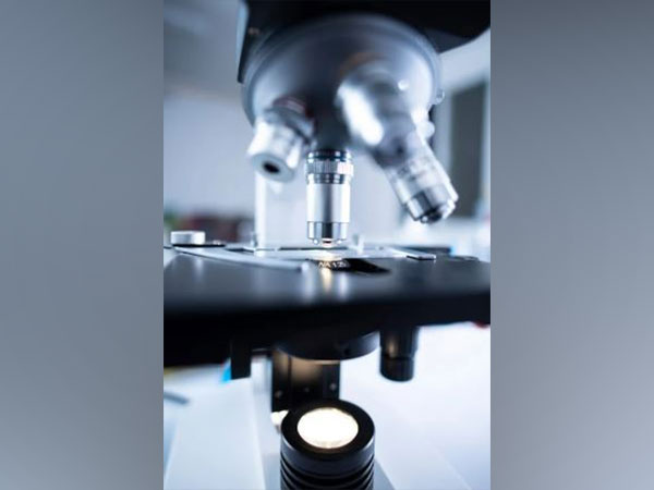 Here is how AI can help to understand gut bacteria