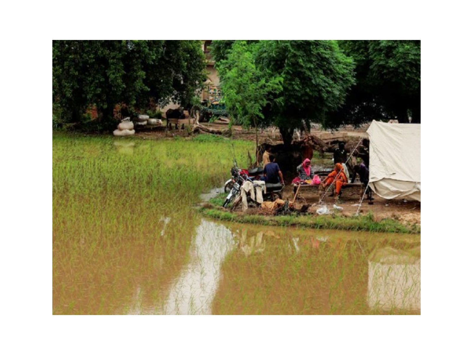 High alert issued in Khyber Pakhtunkhwa following rain forecast between September 15 to 19