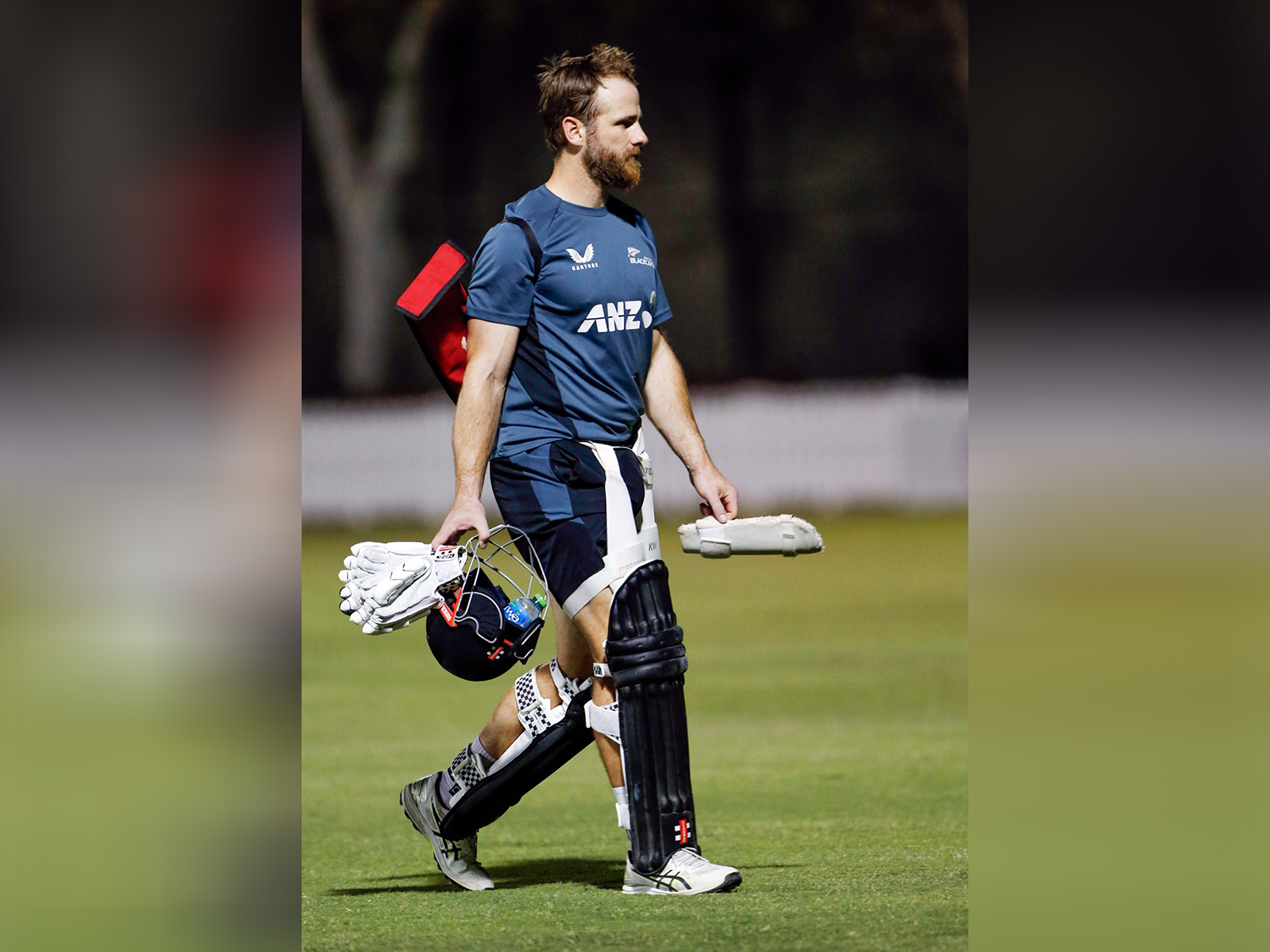 New Zealand stars take casual contracts, commit for T20 World Cup