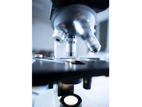 Scientists find over 200 hidden proteins that may drive Alzheimer's: Study