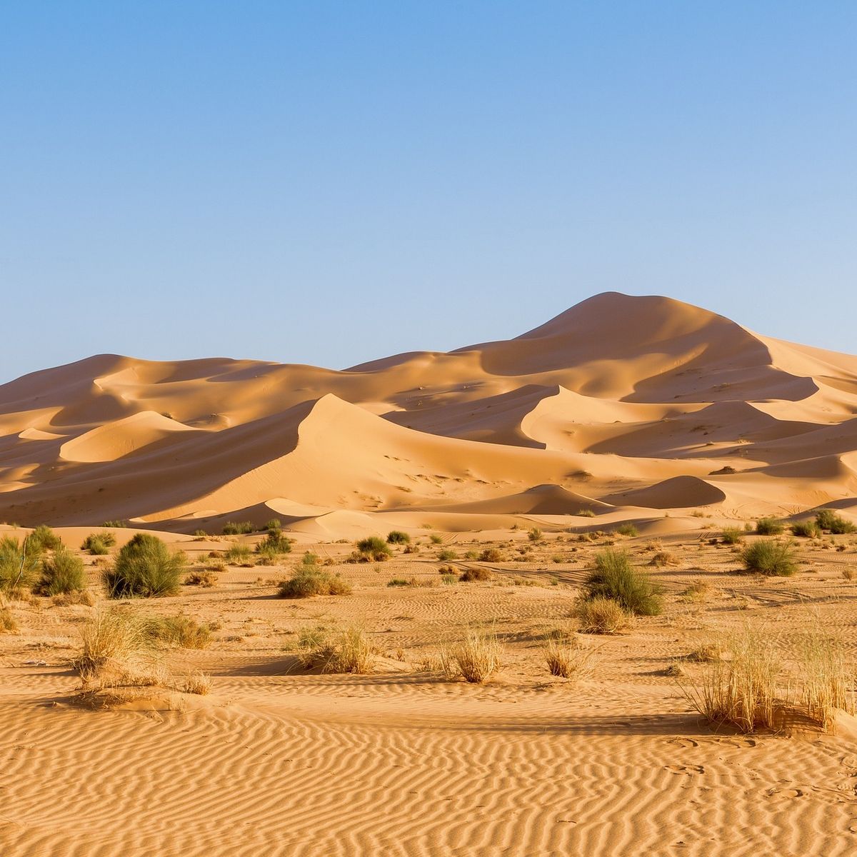 Sahara Desert, Africa vast sandy desert with extreme aridity. - Photo Gallery