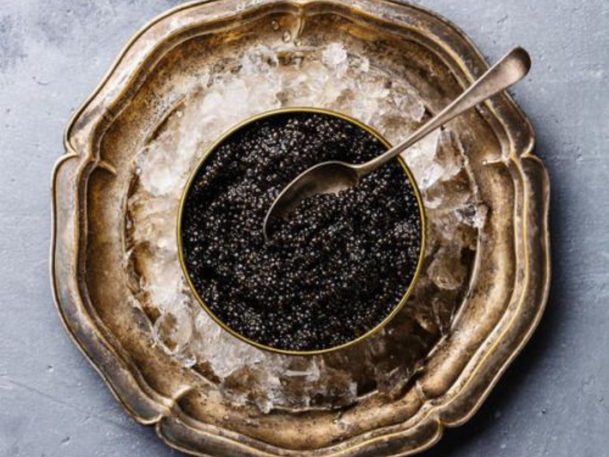 Luxury on a Plate: Taste the Richest Dishes Around the Globe - Gallery Image