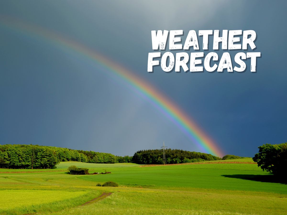 Weather Today: IMD Warns of Heavy Rainfall in Northeast, Check Forecast for Delhi, Mumbai And Other Cities