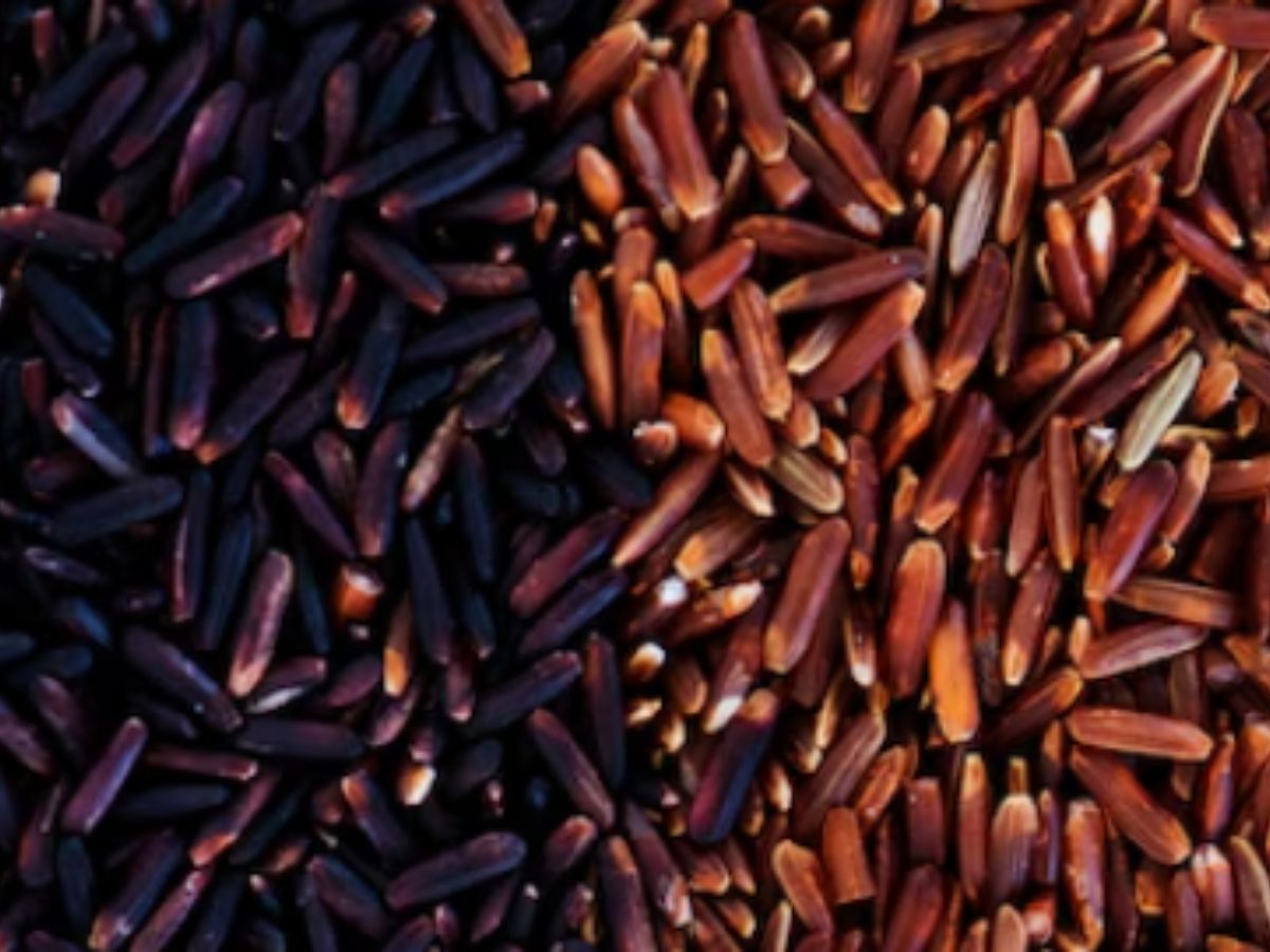 Brown Rice vs Black Rice: Which One Is Healthier?