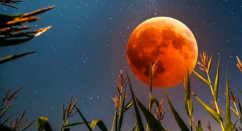 Blood Moon vs Corn Moon: What Makes September’s Lunar Show Special