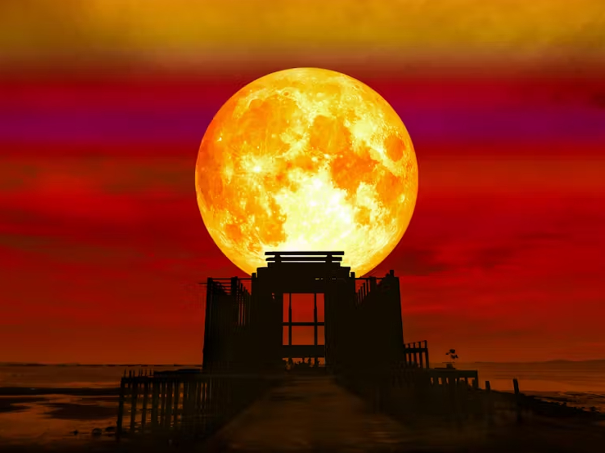 Blood Moon 2025: See How the Last Lunar Eclipse Looked in Stunning Pics - Gallery Image