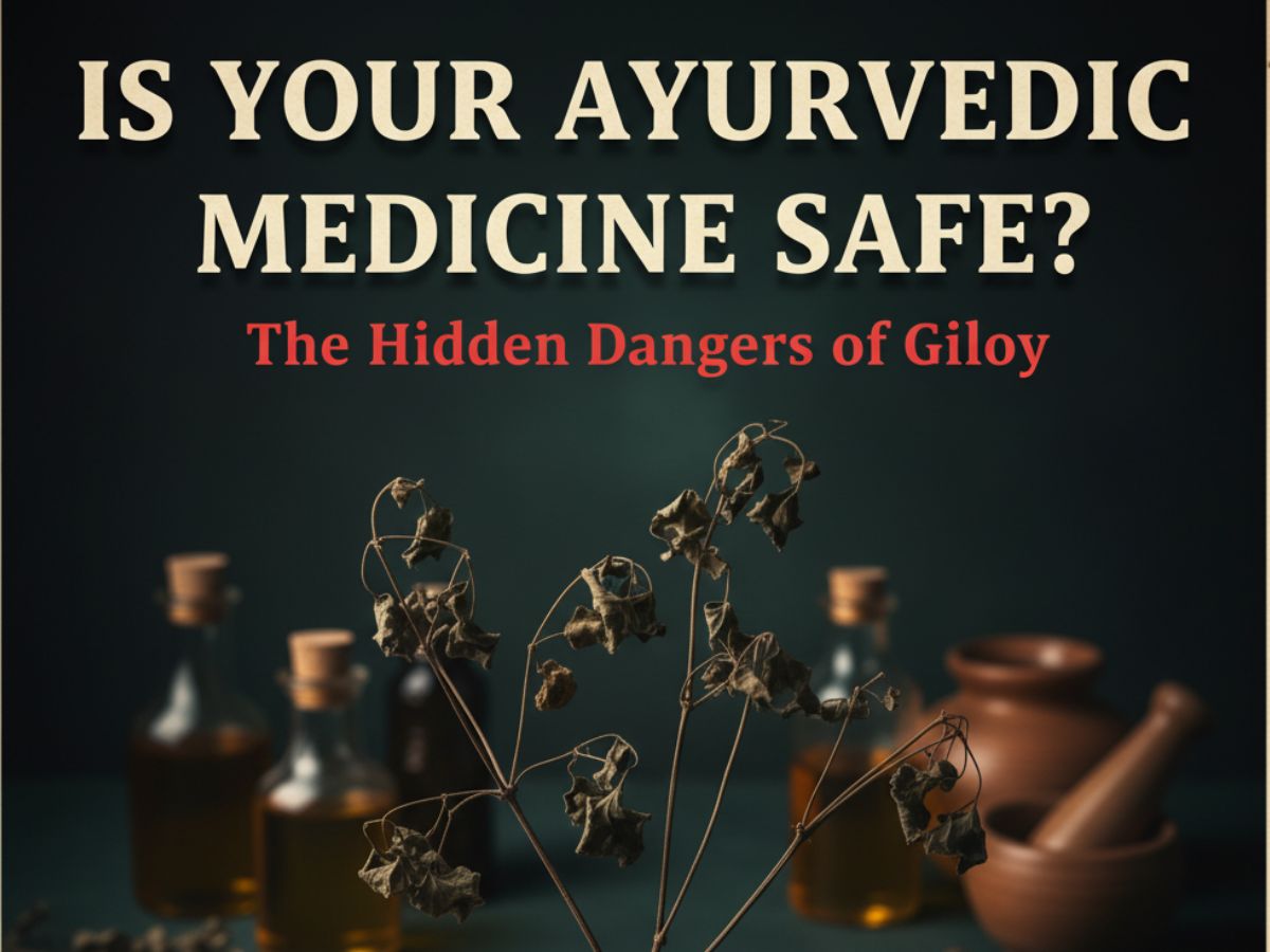 Is Your Ayurvedic Medicine Safe? The Hidden Dangers of Giloy | Explained