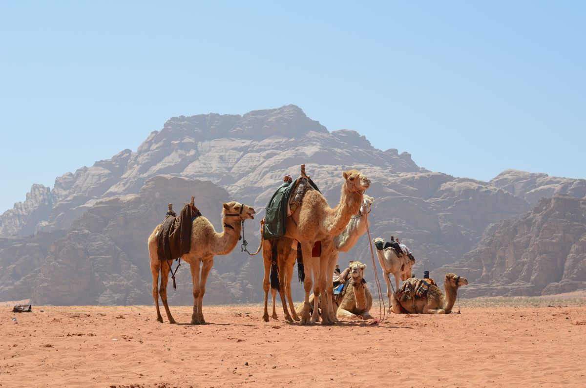 Kalahari Desert, Southern Africa semi-arid desert with dry seasons. - Photo Gallery
