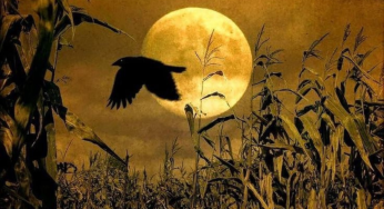 Harvest Moon 2025: When & Where to Watch October’s Brightest Supermoon in India
