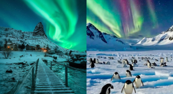 Northern vs Southern Lights: What Makes These Polar Wonders So Different?