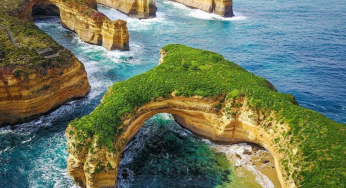 Bay vs Ocean: Key Differences in Size, Depth & Why They Matter