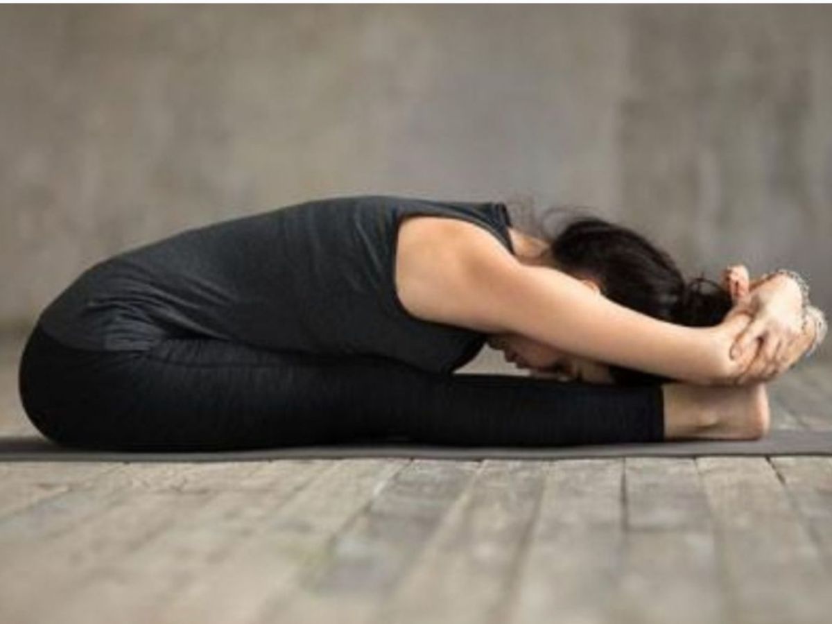 Paschimottanasana - Photo Gallery