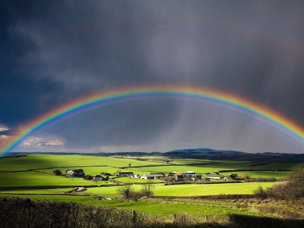 Science Behind Rainbows: Are They Disappearing from India | Complete Guide