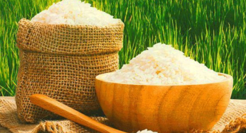 India or China: Which Country Leads the World in Rice Production in 2025