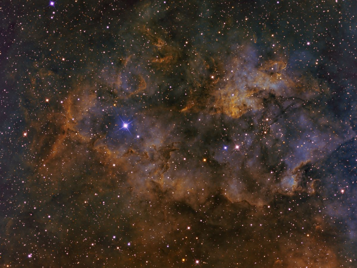 Dark dust and stars in the Serpens Nebula. - Photo Gallery