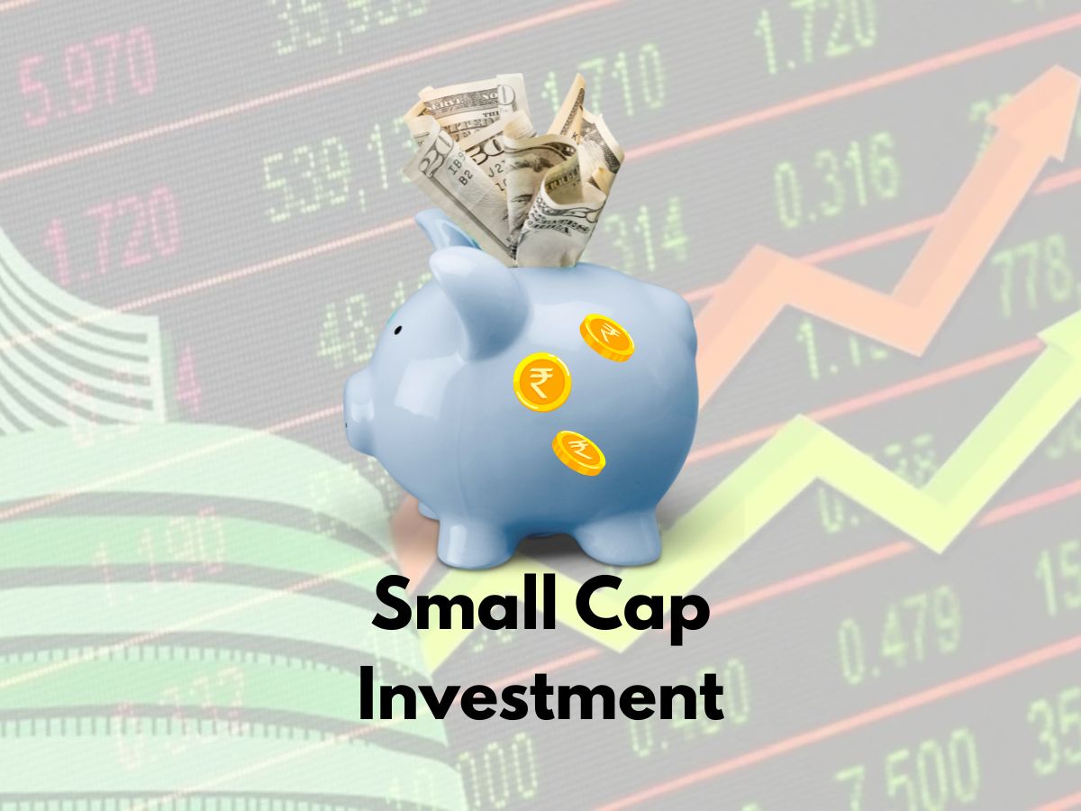 Small Cap Investments: Study amid Tariff-season