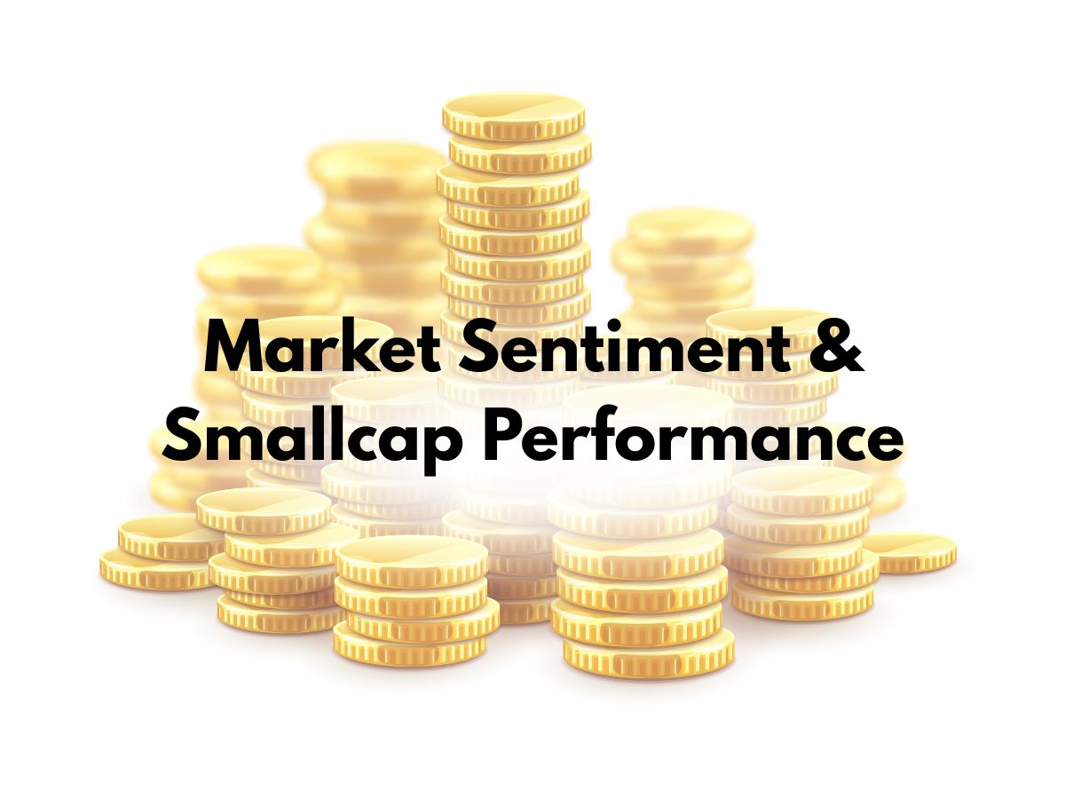 Small Cap Investments: Study amid Tariff-season - Gallery Image