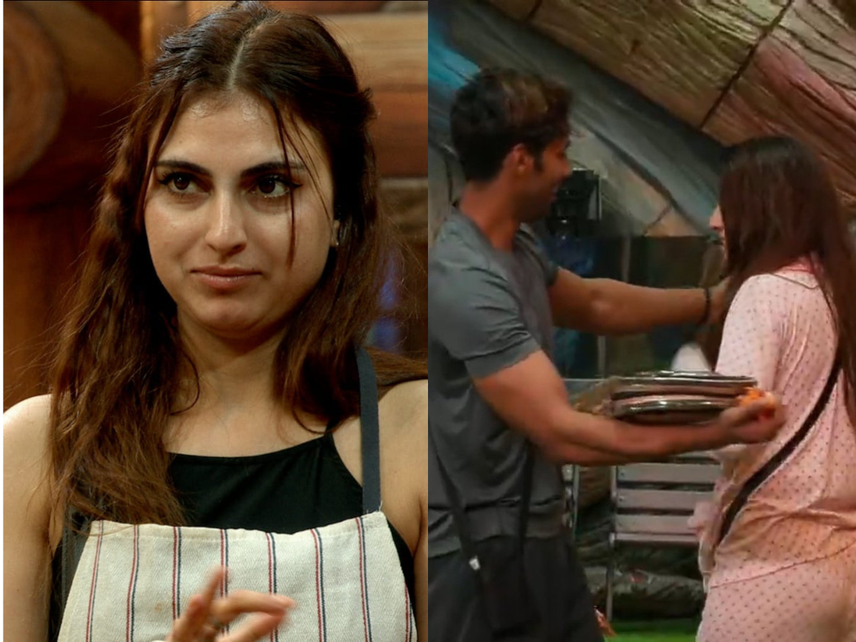 Is Baseer Ali & Farhana Bhatt’s Chemistry Real or Just a Reality Show Strategy?