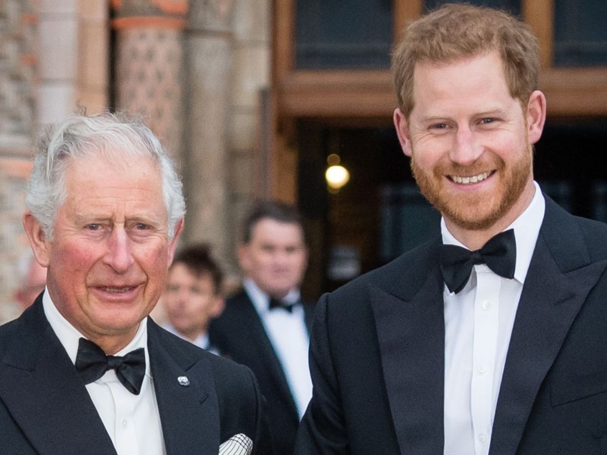 After Nearly Two Years, Prince Harry Reunites with King Charles Amid Cancer Fight — A First Step?