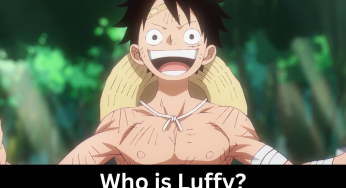 Who is Monkey D. Luffy? His Story, Mother, Girlfriend, Father, and Bounty as the Captain of the Straw Hat Pirates
