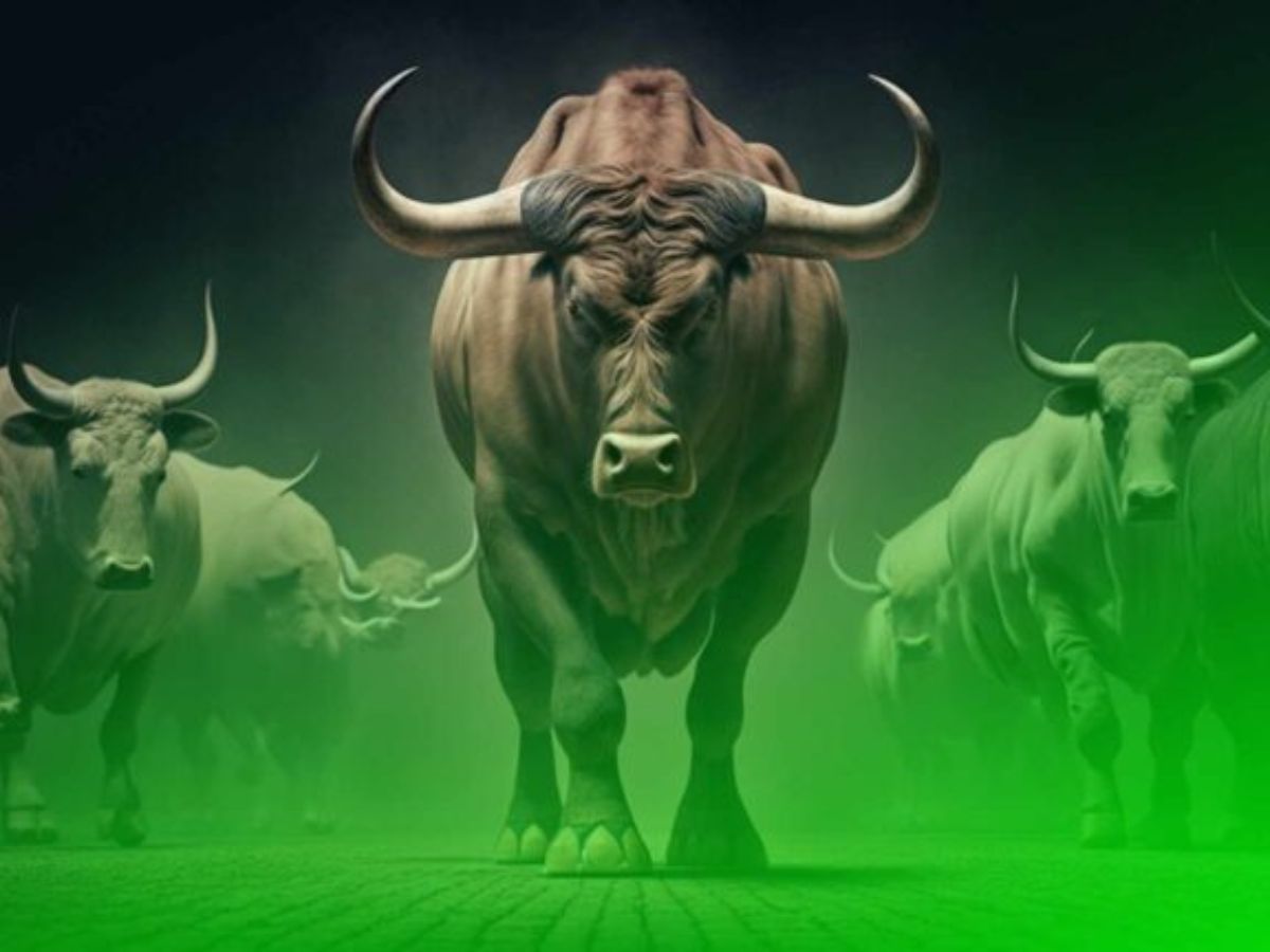 23rd October, 2025 : Stock Market Closes in Green, Losing Early Gains