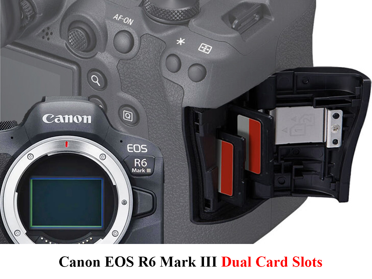 Canon EOS R6 Mark III Dual Card Slots: CFexpress & SD UHS-II Rumors | Everything You Need to Know