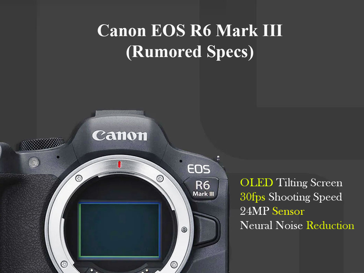 Canon EOS R6 Mark III: Rumored Specs, OLED Display, & Major Design Upgrade