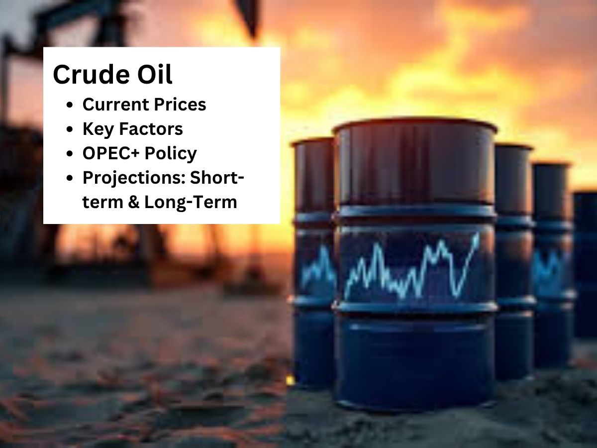 Crude Oil Volatility At Its Peaks – Factors and Analysis